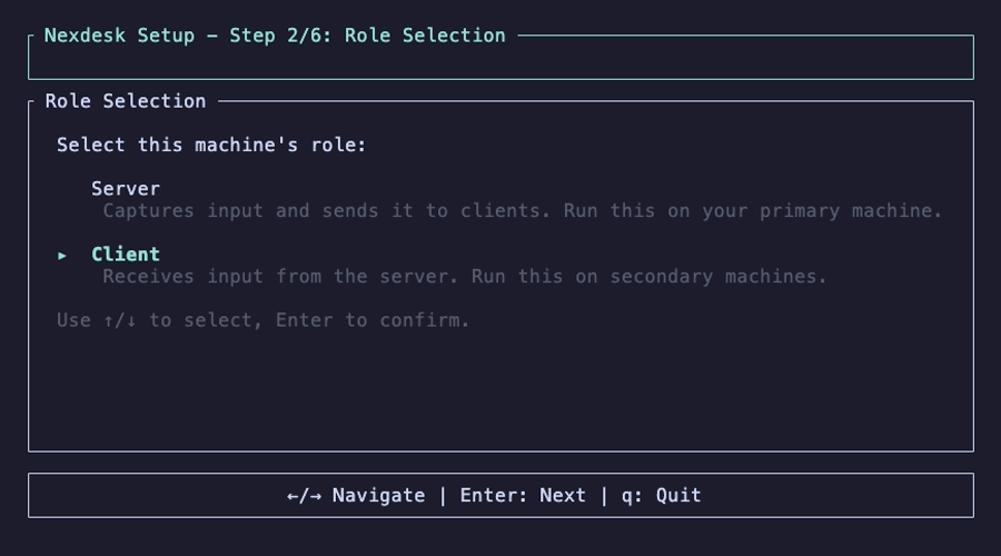 Client setup — Role selection (Client)