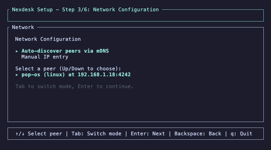 Client setup — Network discovery showing server