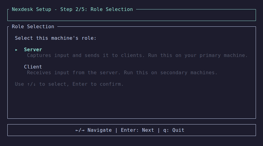 Server setup — Role selection